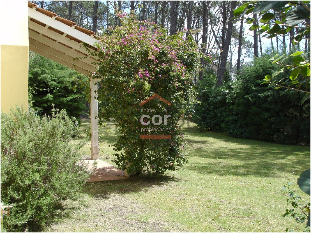 Montoya - GoPunta - Portal Inmobiliario de Punta del Este - Maldonado