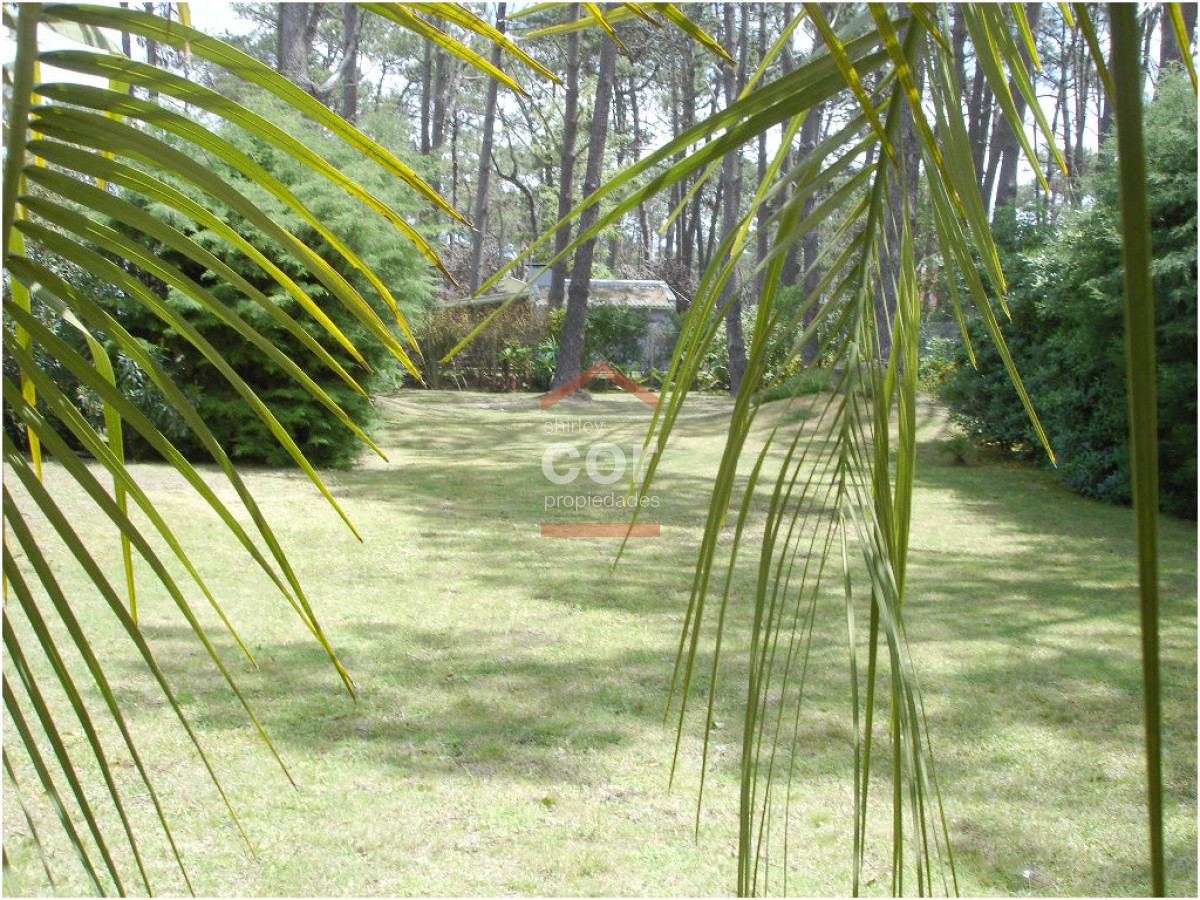 Montoya - GoPunta - Portal Inmobiliario de Punta del Este - Maldonado