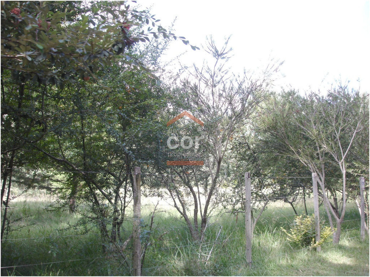 1197 136 - GoPunta - Portal Inmobiliario de Punta del Este - Maldonado