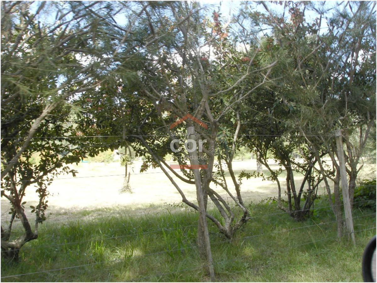 1197 136 - GoPunta - Portal Inmobiliario de Punta del Este - Maldonado