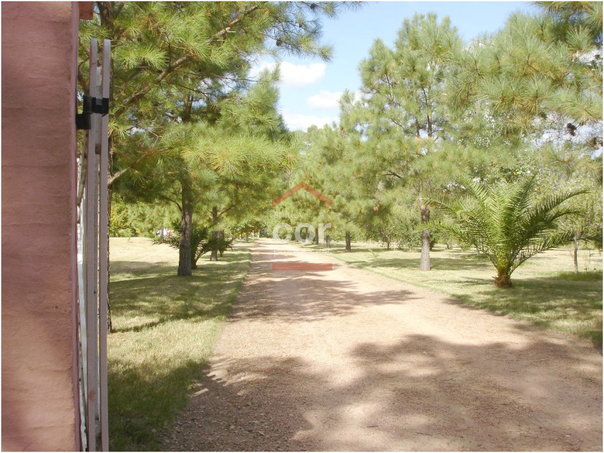1197 136 - GoPunta - Portal Inmobiliario de Punta del Este - Maldonado