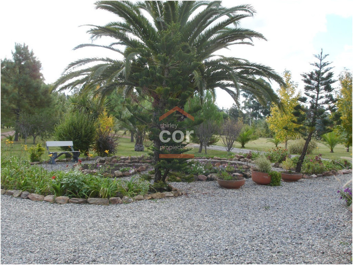 1197 136 - GoPunta - Portal Inmobiliario de Punta del Este - Maldonado