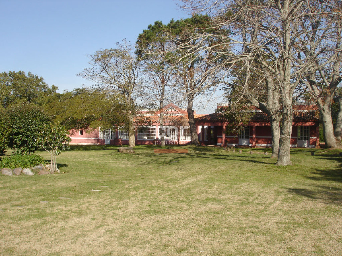 La Pataia - GoPunta - Portal Inmobiliario de Punta del Este - Maldonado