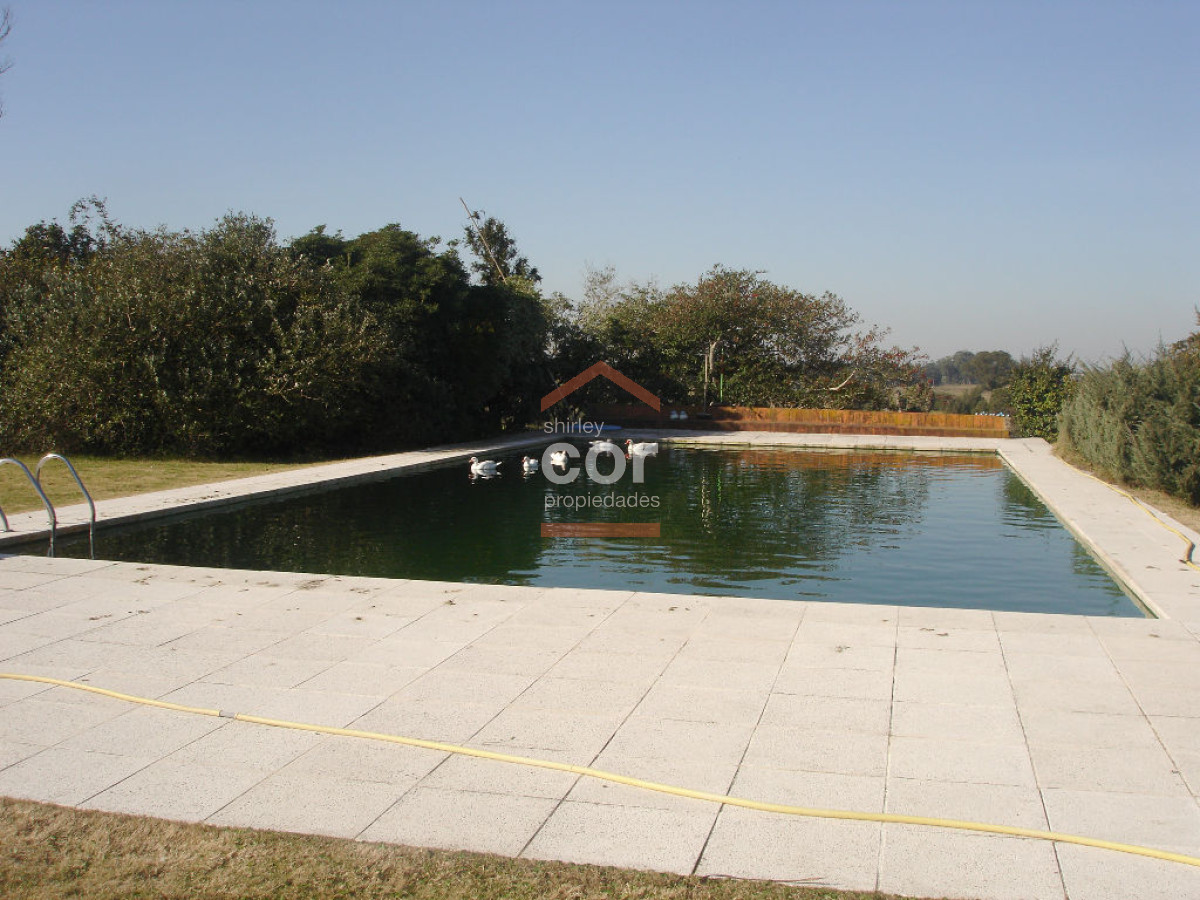 La Pataia - GoPunta - Portal Inmobiliario de Punta del Este - Maldonado