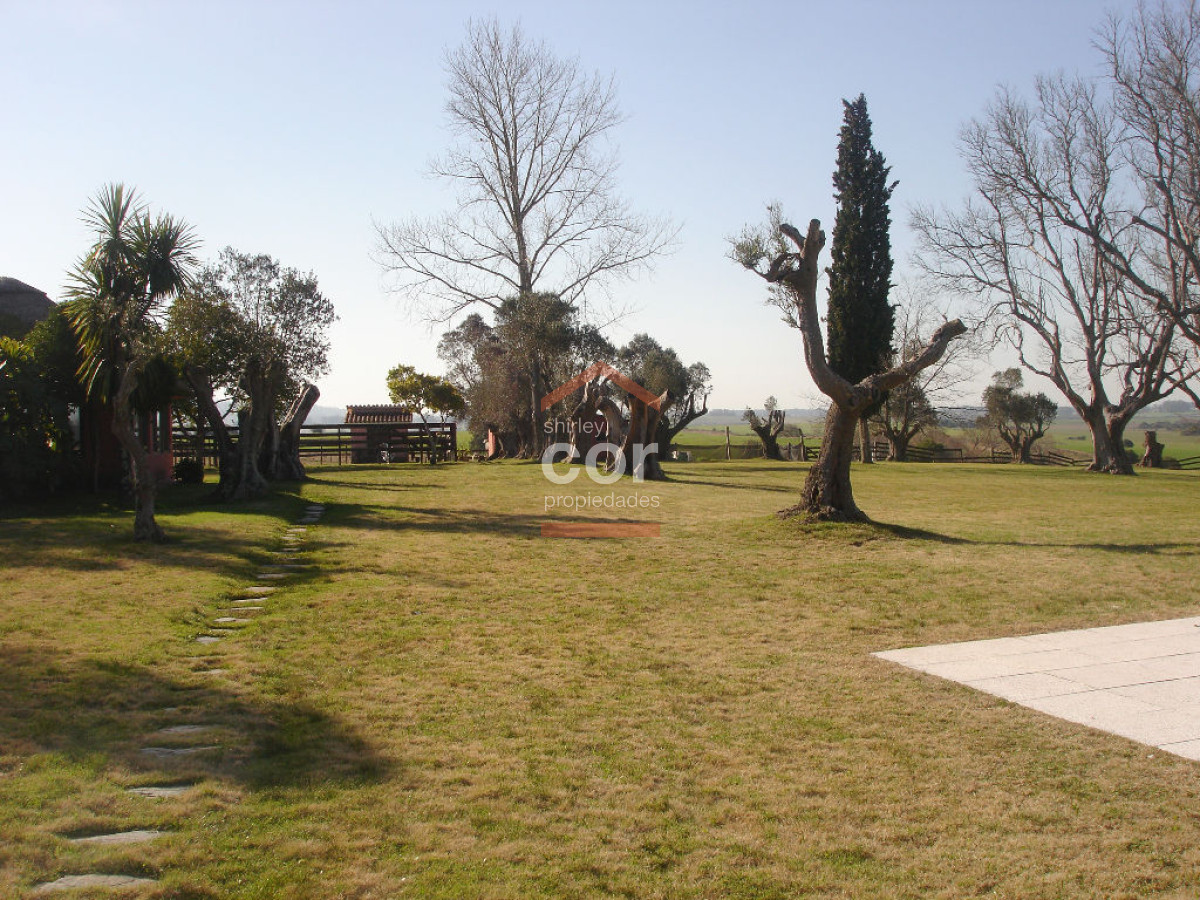 La Pataia - GoPunta - Portal Inmobiliario de Punta del Este - Maldonado