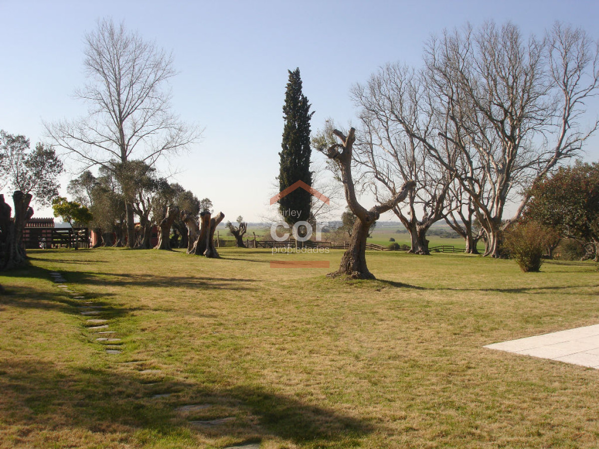 La Pataia - GoPunta - Portal Inmobiliario de Punta del Este - Maldonado