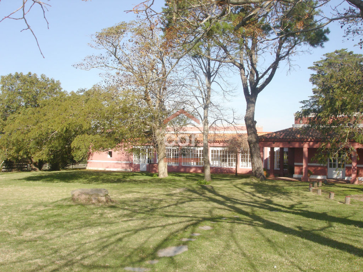 La Pataia - GoPunta - Portal Inmobiliario de Punta del Este - Maldonado