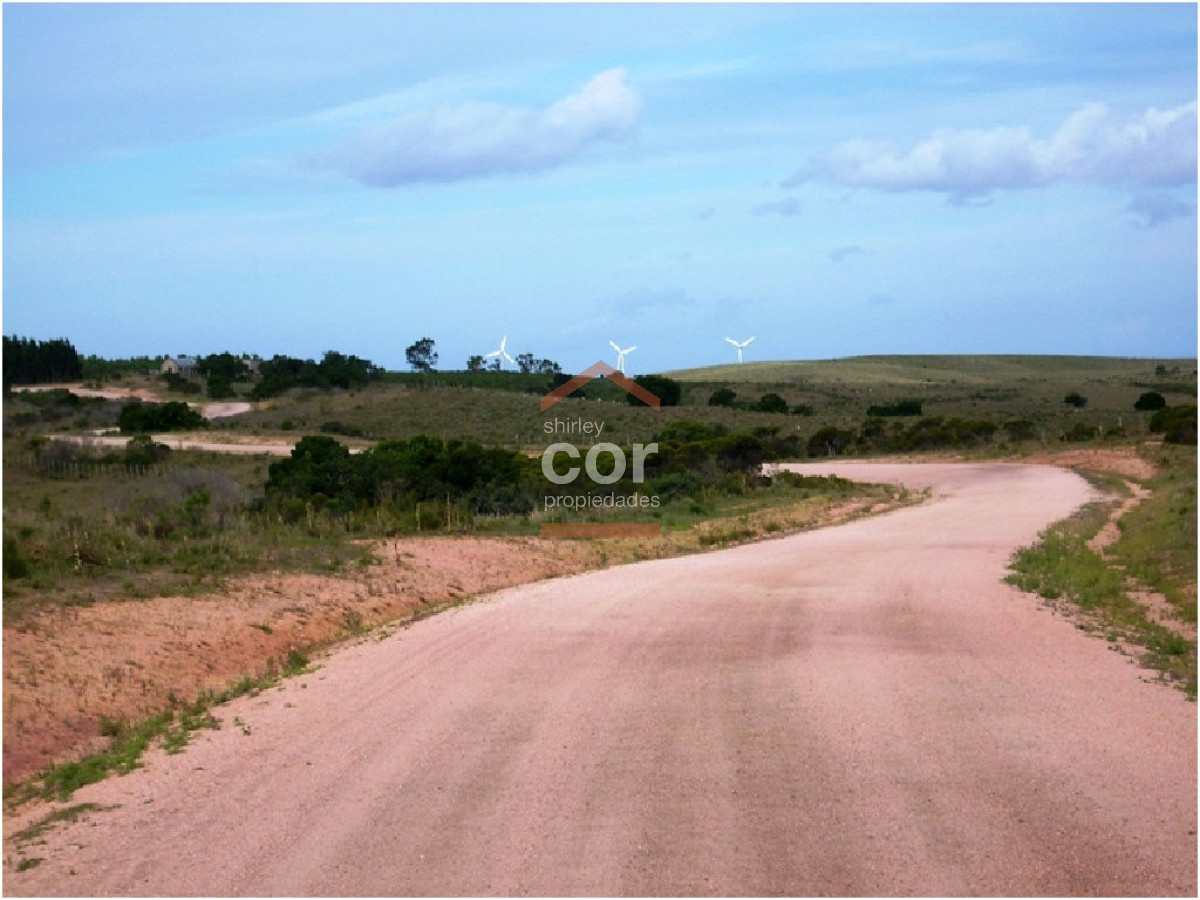 1210 136 - GoPunta - Portal Inmobiliario de Punta del Este - Maldonado