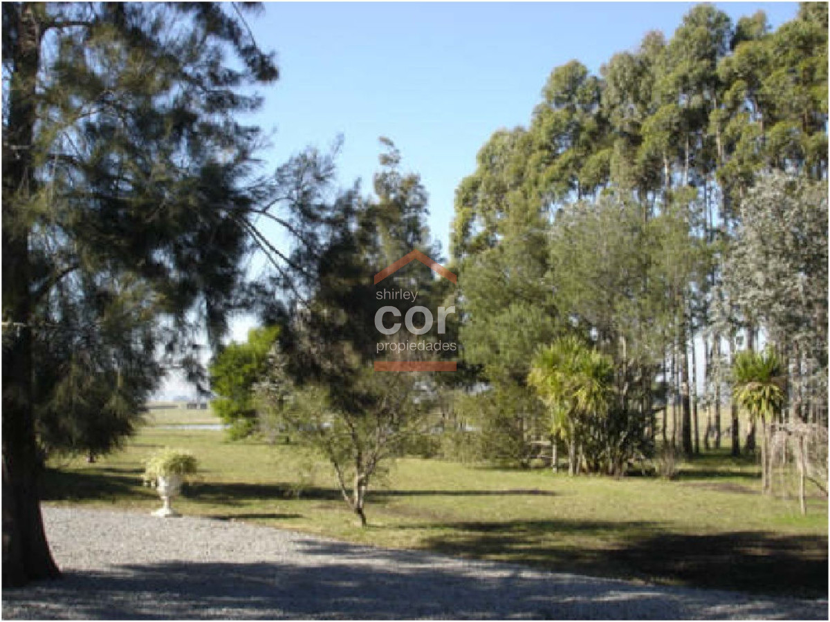 1192 136 - GoPunta - Portal Inmobiliario de Punta del Este - Maldonado