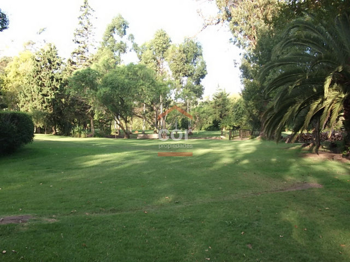 1255 136 - GoPunta - Portal Inmobiliario de Punta del Este - Maldonado