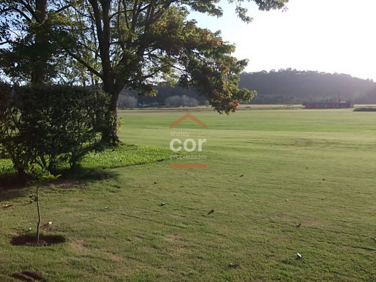 1255 136 - GoPunta - Portal Inmobiliario de Punta del Este - Maldonado