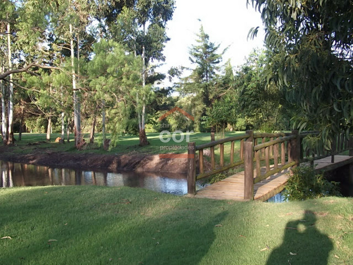 1255 136 - GoPunta - Portal Inmobiliario de Punta del Este - Maldonado