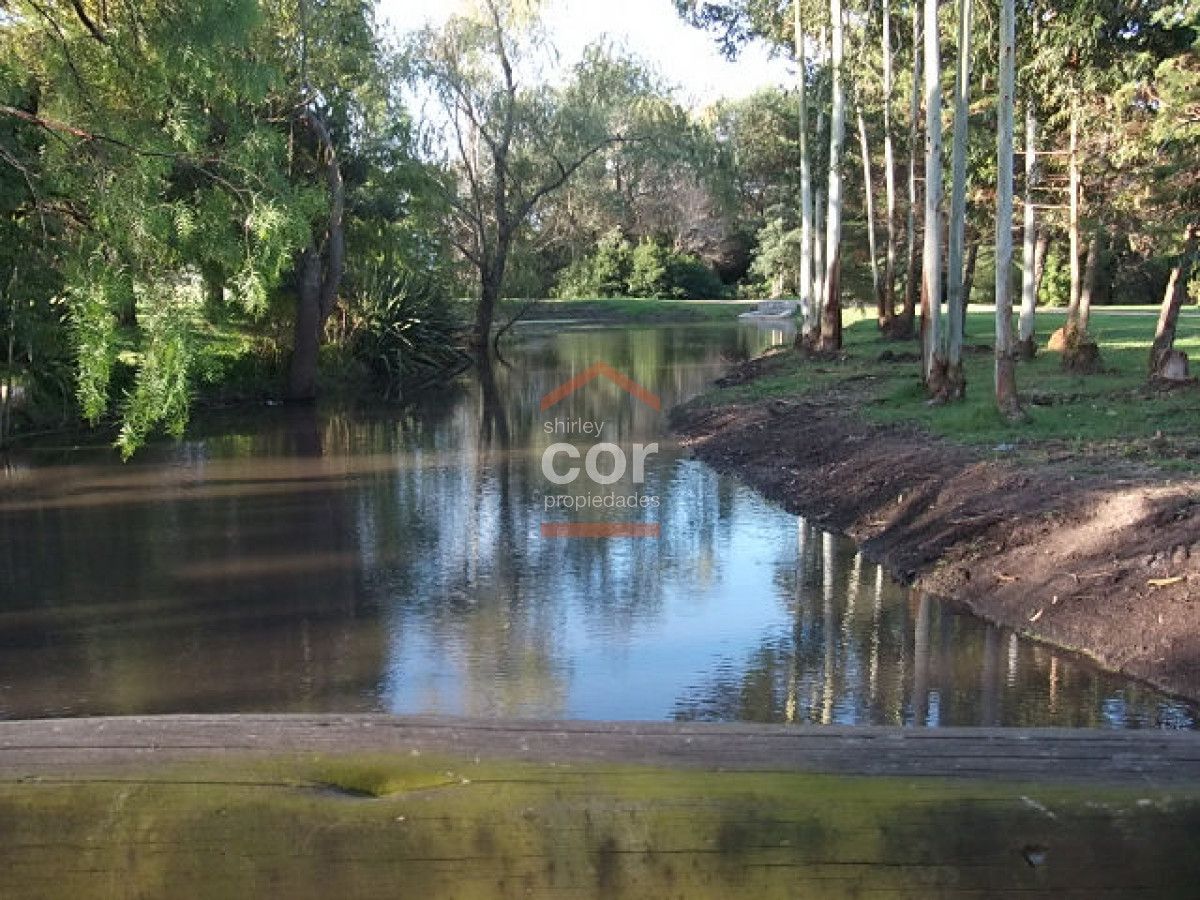 1255 136 - GoPunta - Portal Inmobiliario de Punta del Este - Maldonado