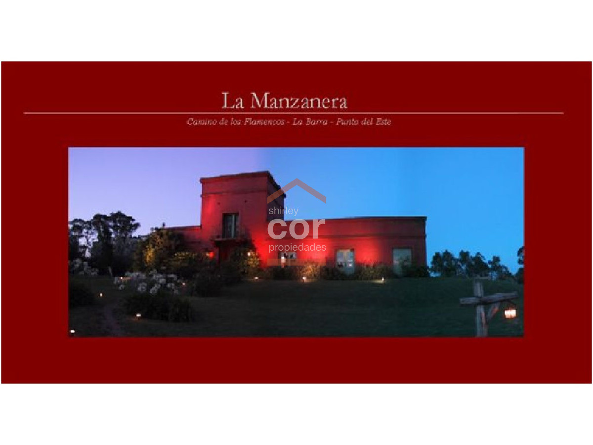 1193 136 - GoPunta - Portal Inmobiliario de Punta del Este - Maldonado