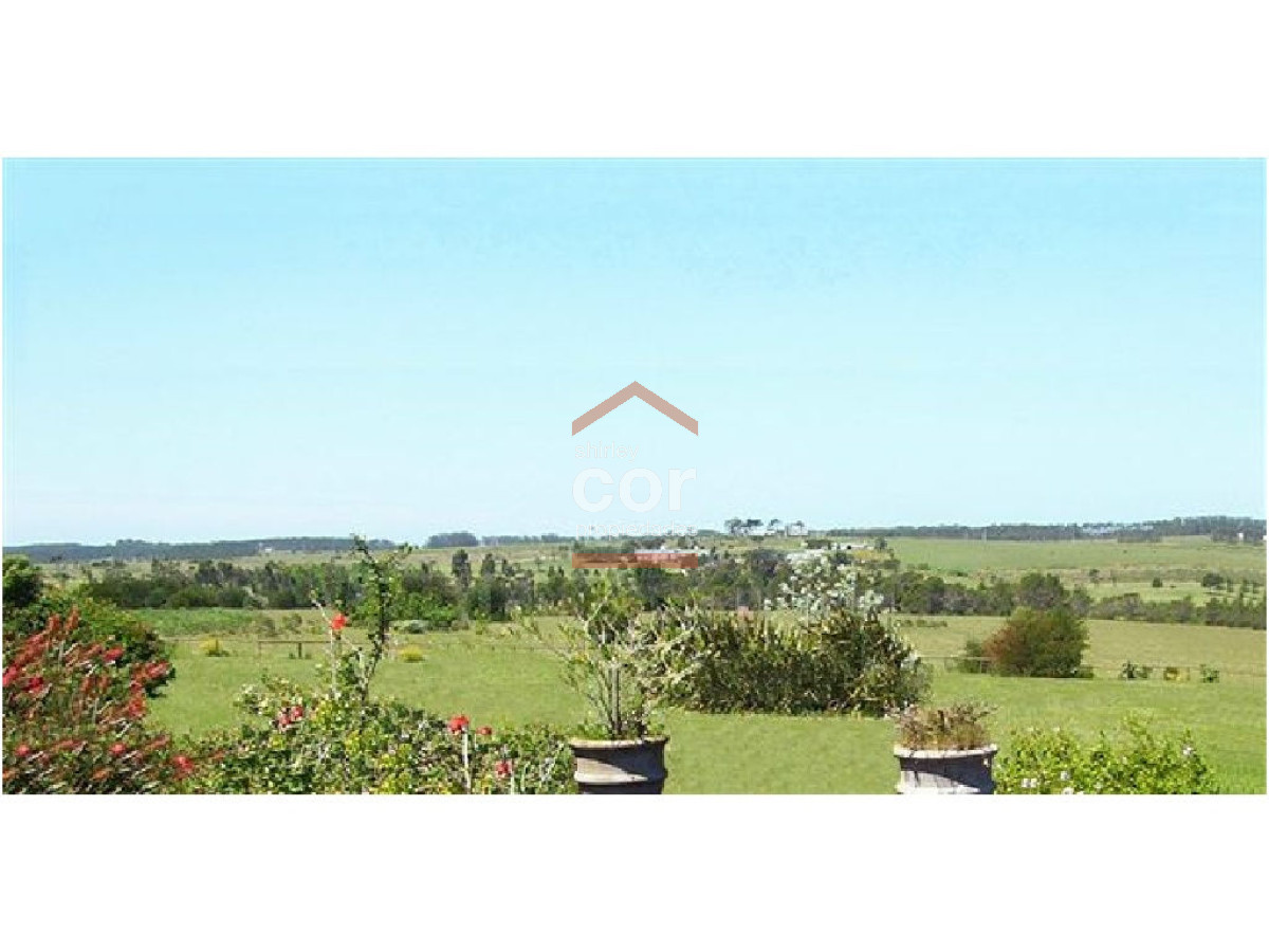 1193 136 - GoPunta - Portal Inmobiliario de Punta del Este - Maldonado
