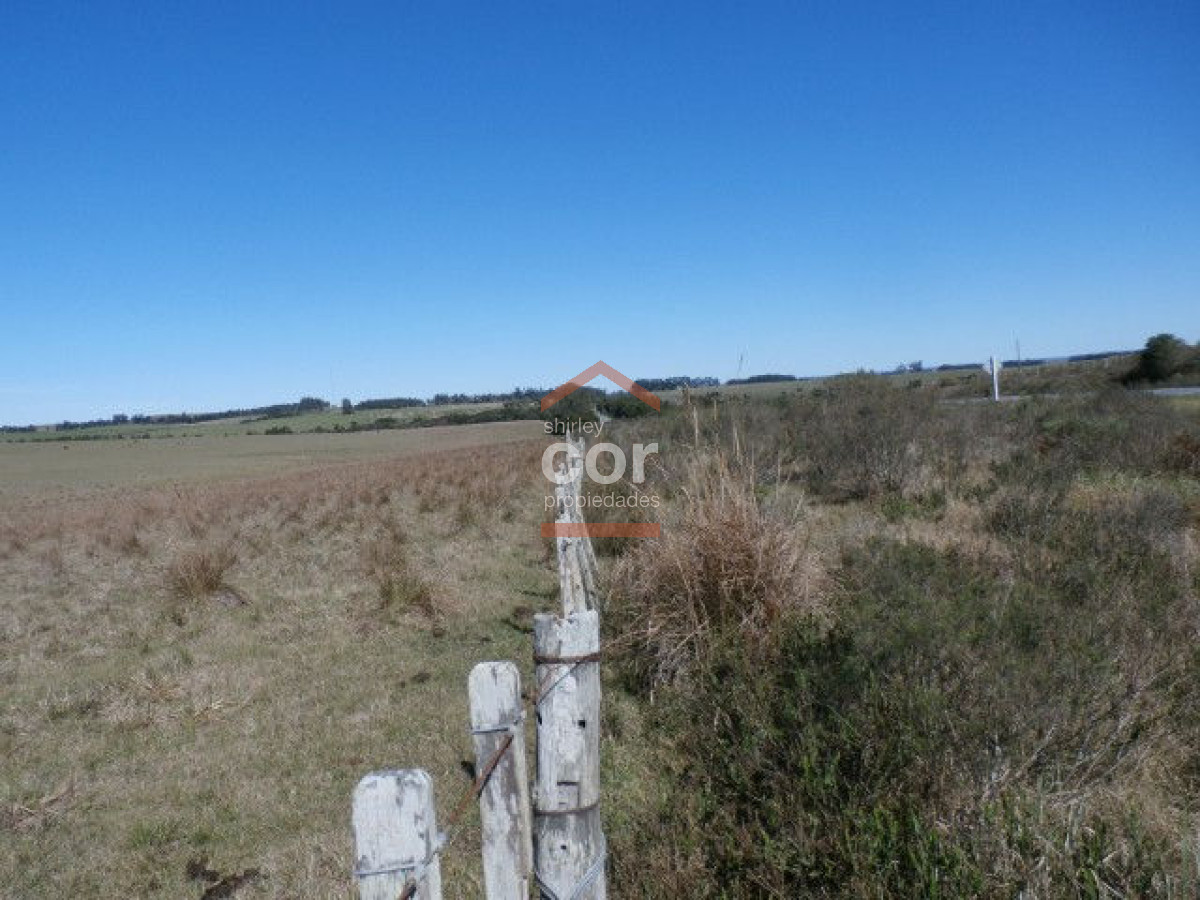 1262 136 - GoPunta - Portal Inmobiliario de Punta del Este - Maldonado