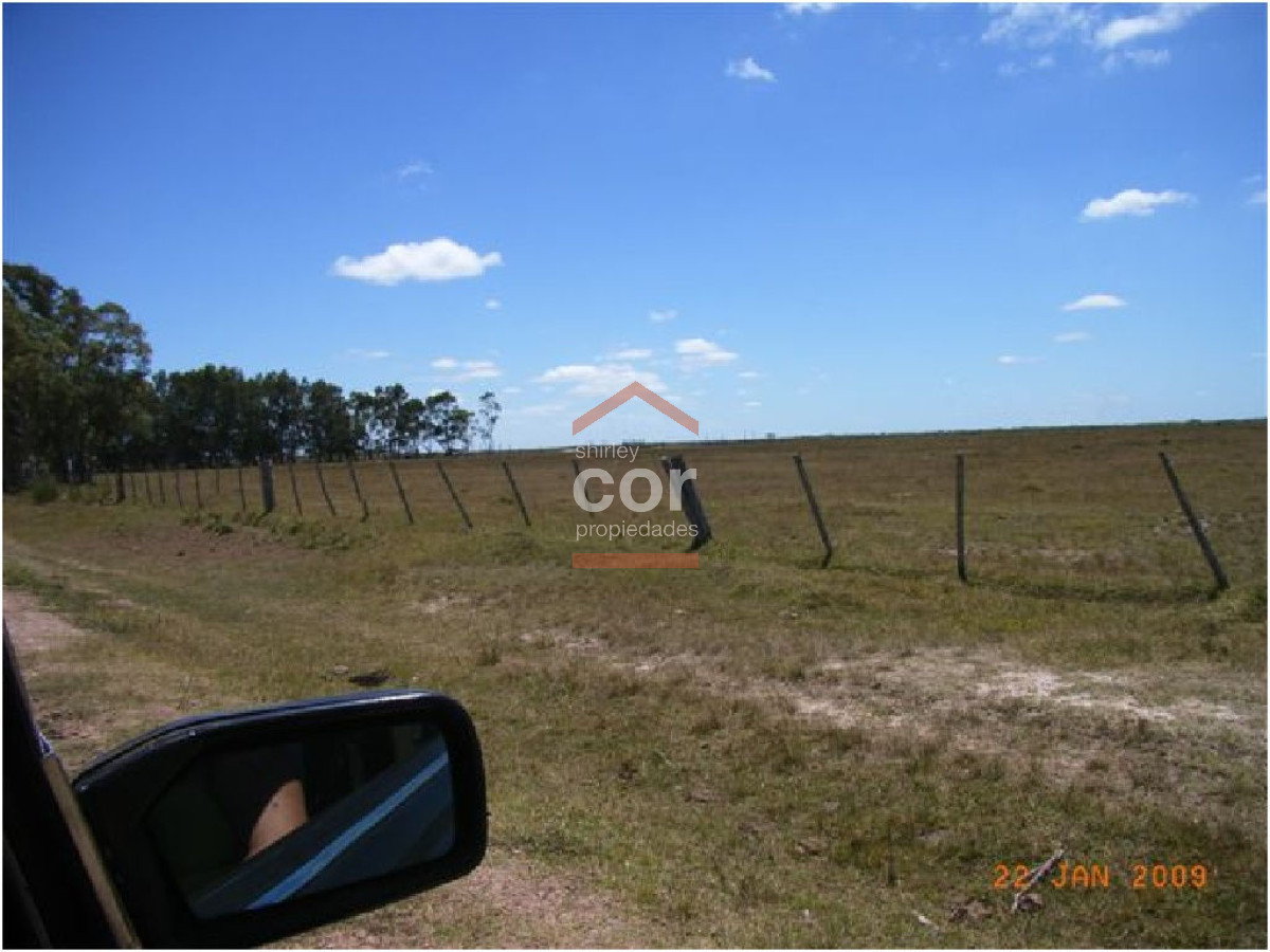 Campo en Punta del Este, - GoPunta - Portal Inmobiliario de Punta del Este - Maldonado