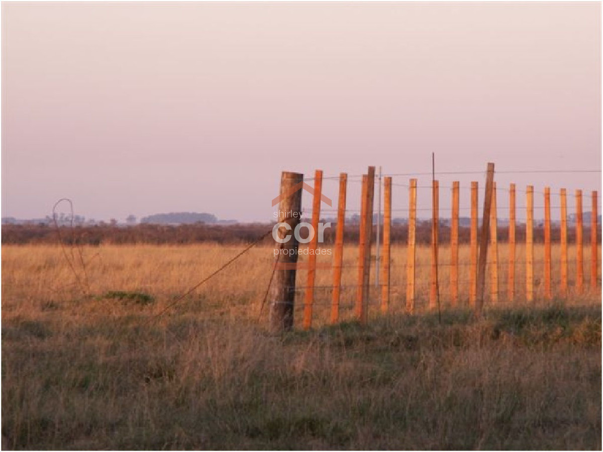 Campo en Punta del Este, - GoPunta - Portal Inmobiliario de Punta del Este - Maldonado
