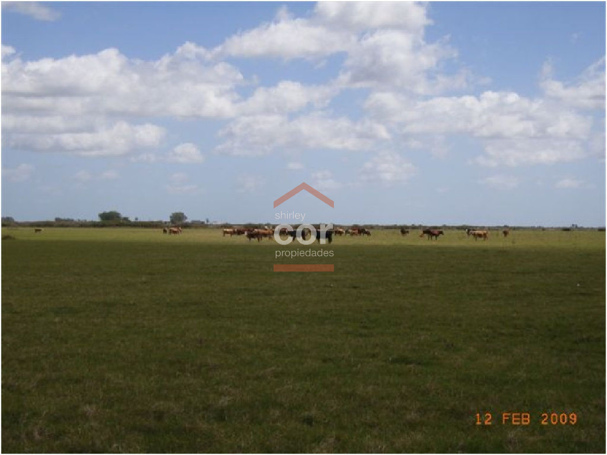 Campo en Punta del Este, - GoPunta - Portal Inmobiliario de Punta del Este - Maldonado