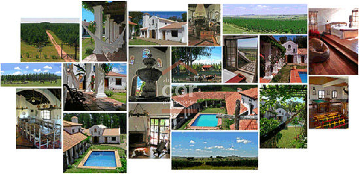Campo en Punta del Este, - GoPunta - Portal Inmobiliario de Punta del Este - Maldonado