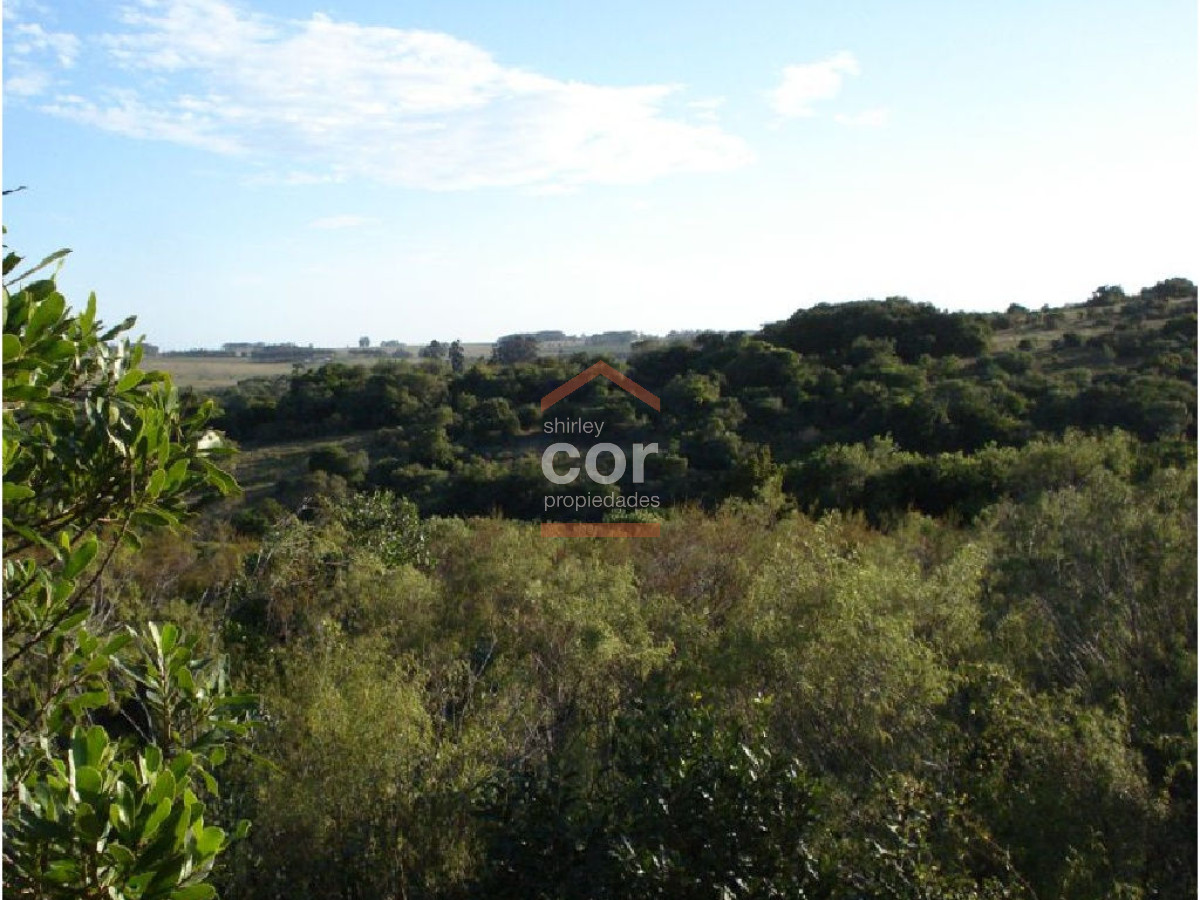 Campo en Punta del Este, - GoPunta - Portal Inmobiliario de Punta del Este - Maldonado