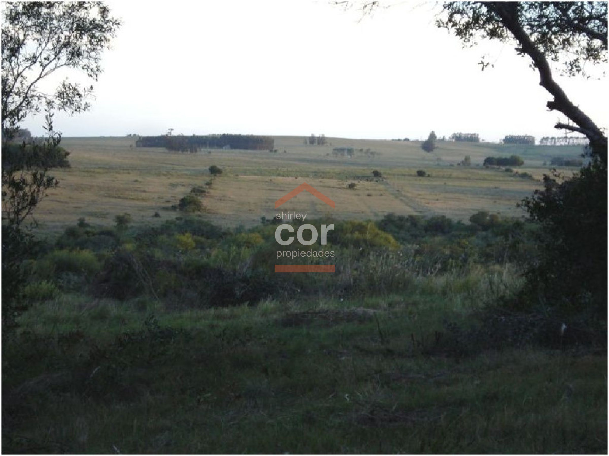 Campo en Punta del Este, - GoPunta - Portal Inmobiliario de Punta del Este - Maldonado