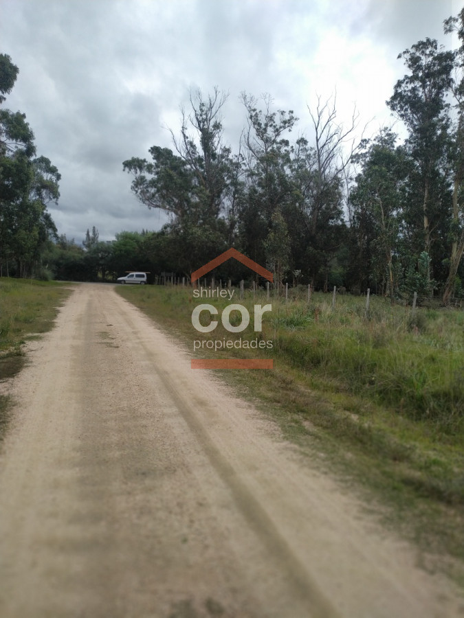 Miramar Acres - GoPunta - Portal Inmobiliario de Punta del Este - Maldonado