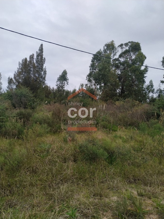 Miramar Acres - GoPunta - Portal Inmobiliario de Punta del Este - Maldonado
