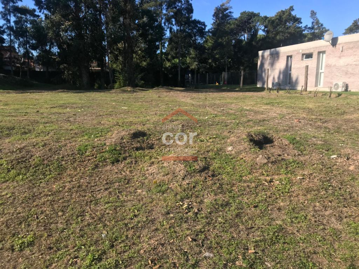 La Residence - GoPunta - Portal Inmobiliario de Punta del Este - Maldonado