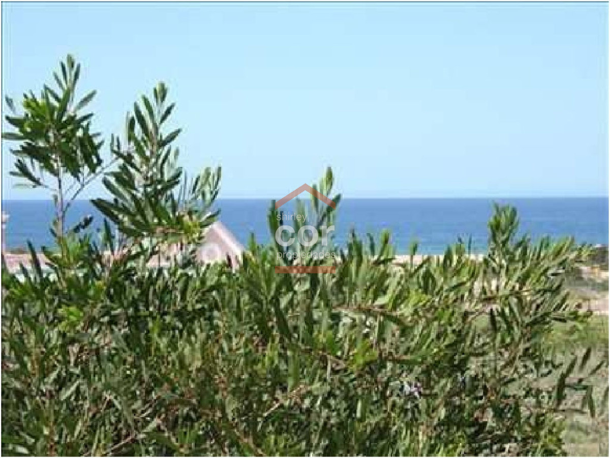 Montoya - GoPunta - Portal Inmobiliario de Punta del Este - Maldonado
