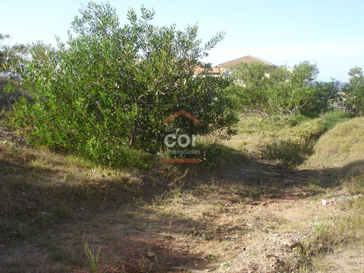 Montoya - GoPunta - Portal Inmobiliario de Punta del Este - Maldonado