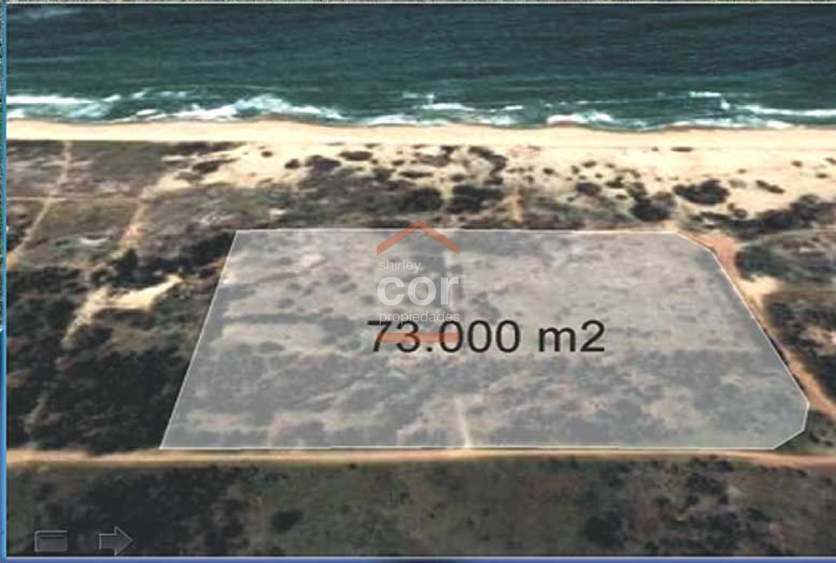 Tio Tom - GoPunta - Portal Inmobiliario de Punta del Este - Maldonado