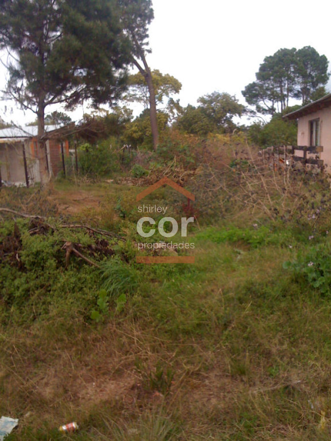 Balneario Buenos Aires - GoPunta - Portal Inmobiliario de Punta del Este - Maldonado