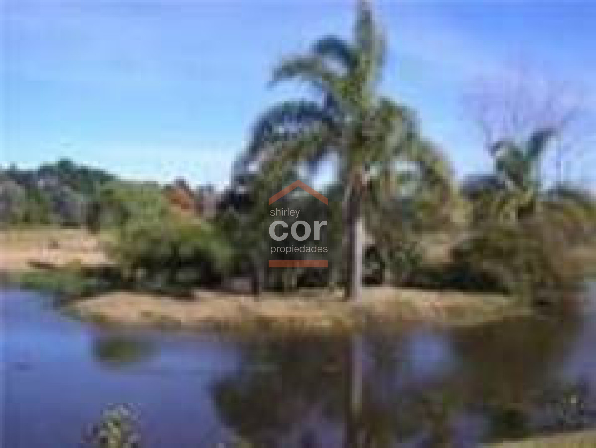 Camino Lussich - GoPunta - Portal Inmobiliario de Punta del Este - Maldonado