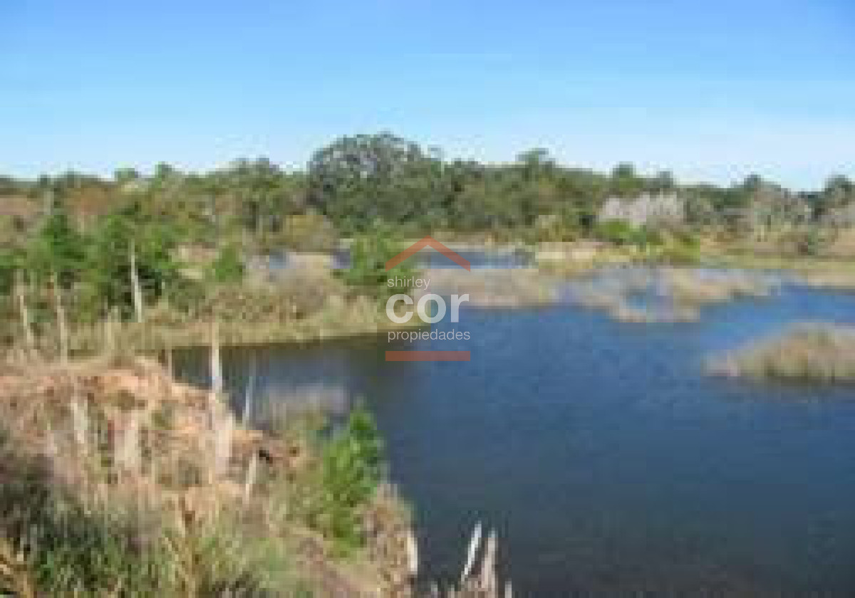 Camino Lussich - GoPunta - Portal Inmobiliario de Punta del Este - Maldonado