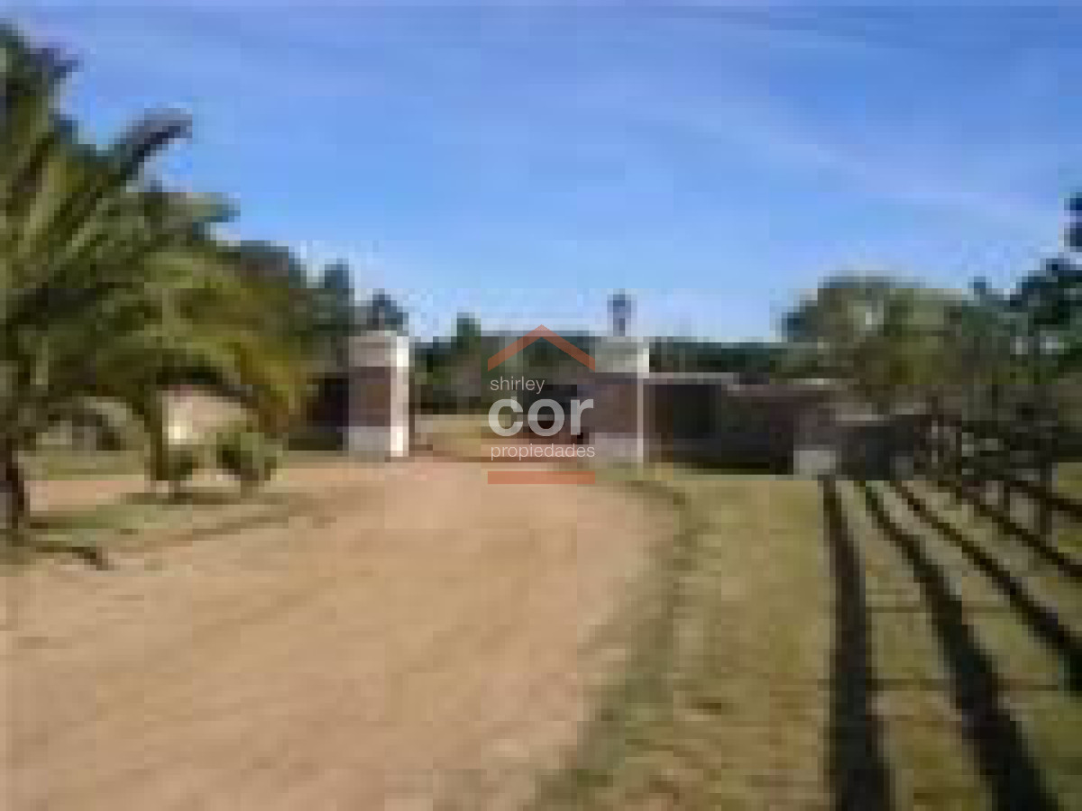 Camino Lussich - GoPunta - Portal Inmobiliario de Punta del Este - Maldonado
