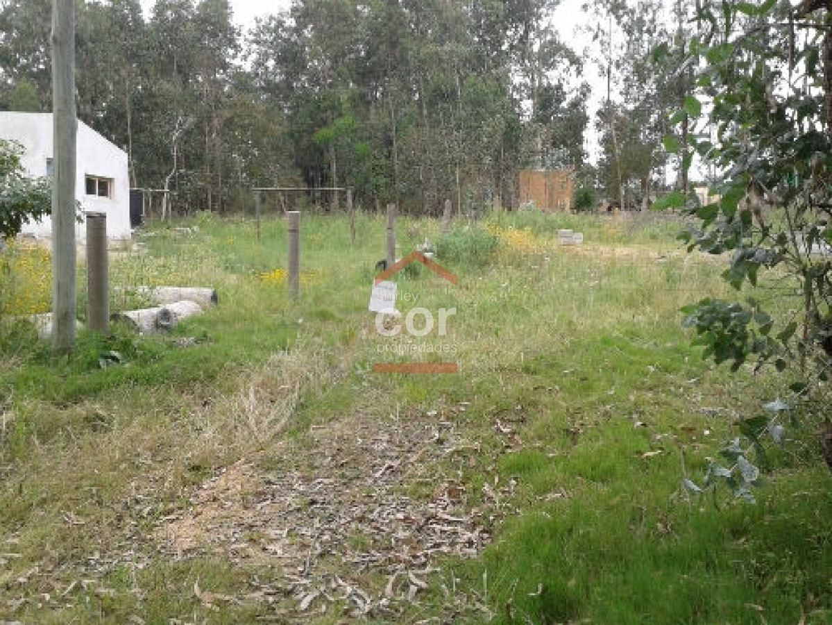 Balneario Buenos Aires - GoPunta - Portal Inmobiliario de Punta del Este - Maldonado