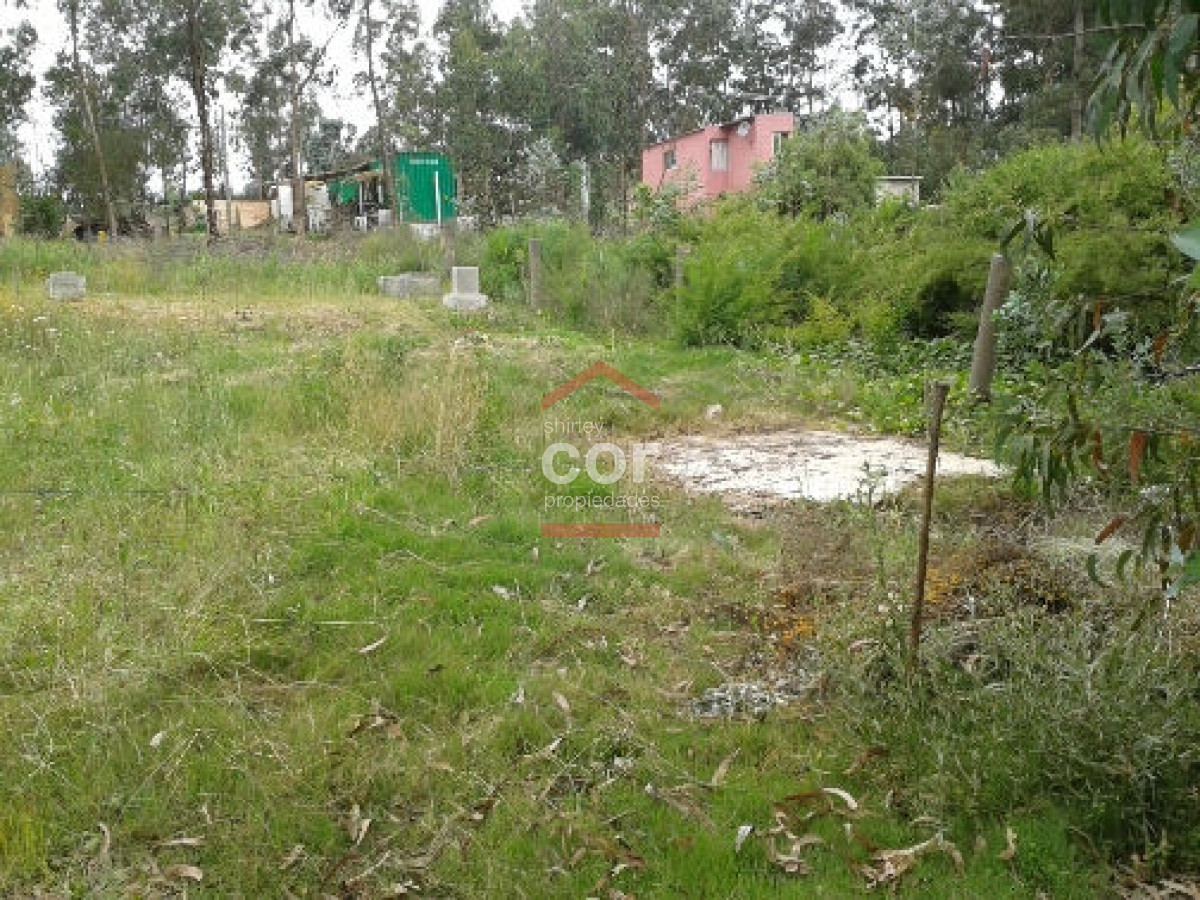 Balneario Buenos Aires - GoPunta - Portal Inmobiliario de Punta del Este - Maldonado