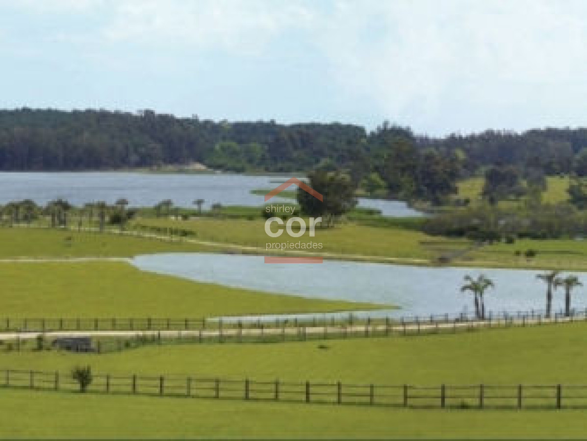 Manantiales - GoPunta - Portal Inmobiliario de Punta del Este - Maldonado