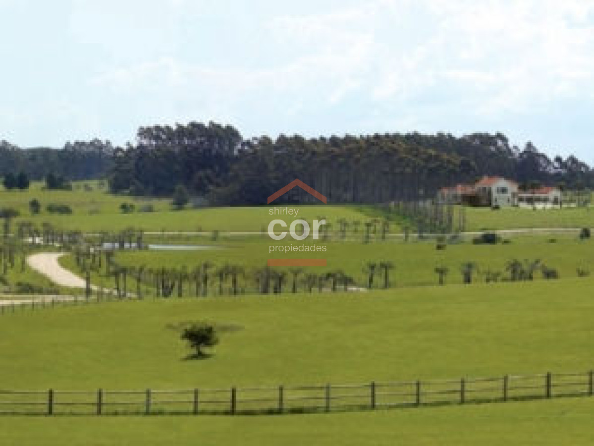 Manantiales - GoPunta - Portal Inmobiliario de Punta del Este - Maldonado