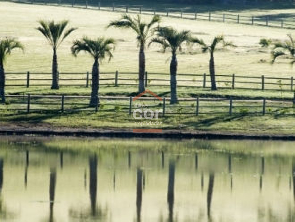 Manantiales - GoPunta - Portal Inmobiliario de Punta del Este - Maldonado