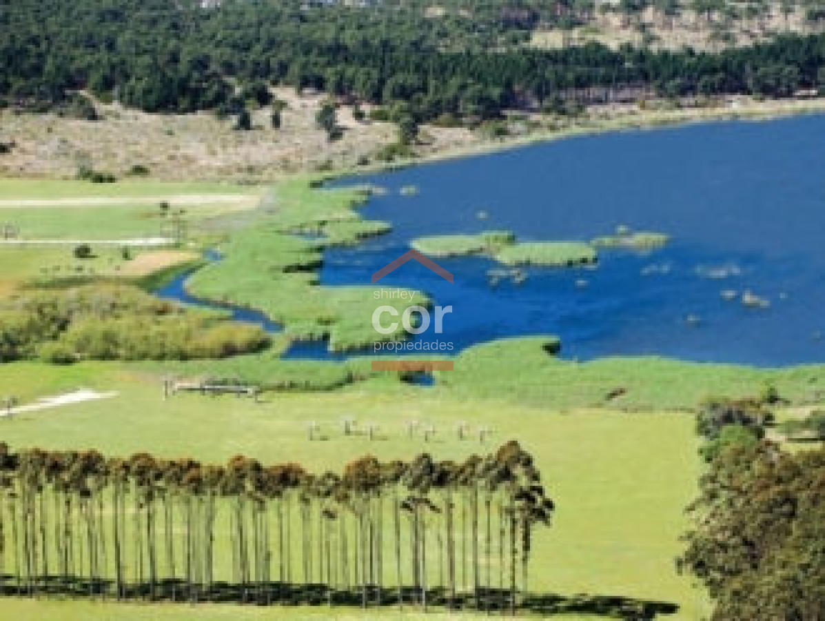 Manantiales - GoPunta - Portal Inmobiliario de Punta del Este - Maldonado