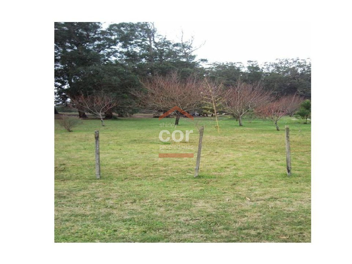 Santa Monica - GoPunta - Portal Inmobiliario de Punta del Este - Maldonado