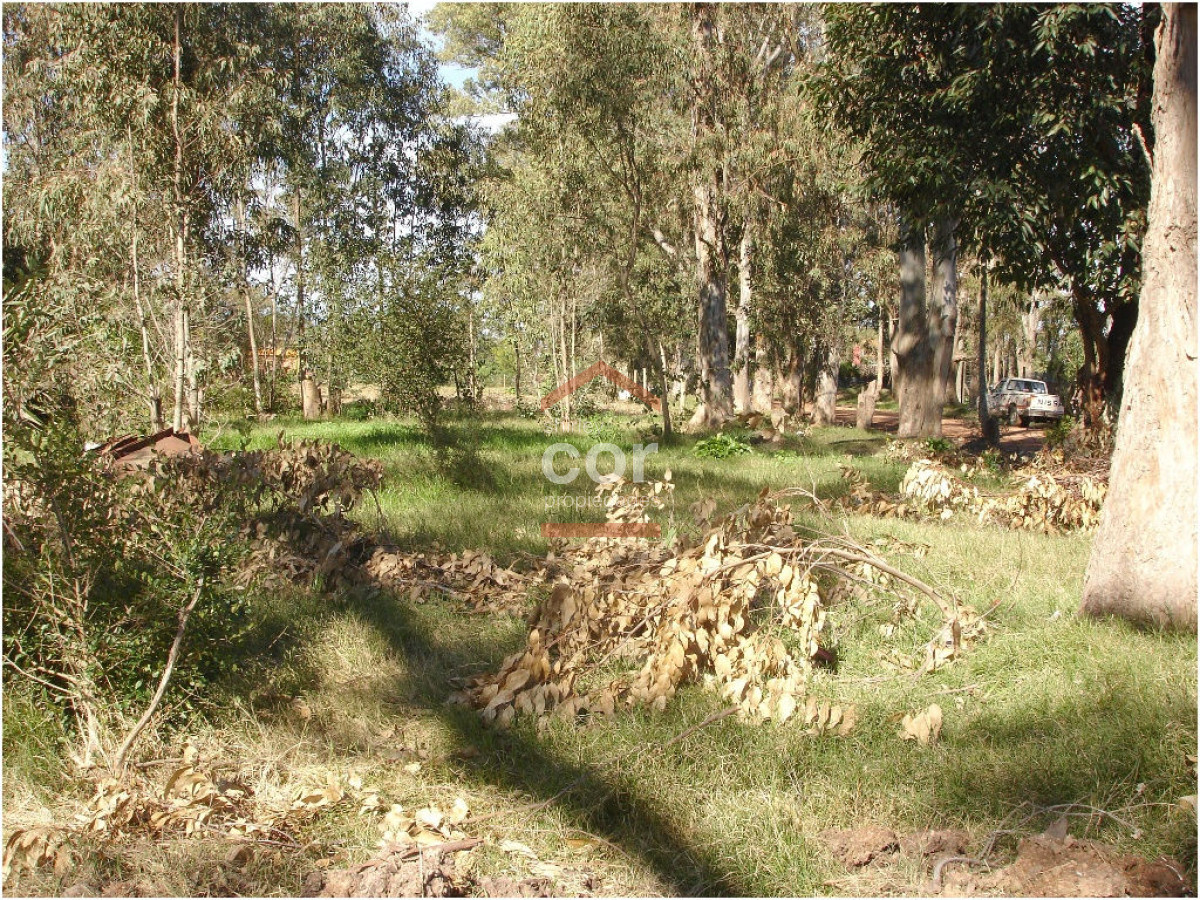 El Tesoro - GoPunta - Portal Inmobiliario de Punta del Este - Maldonado