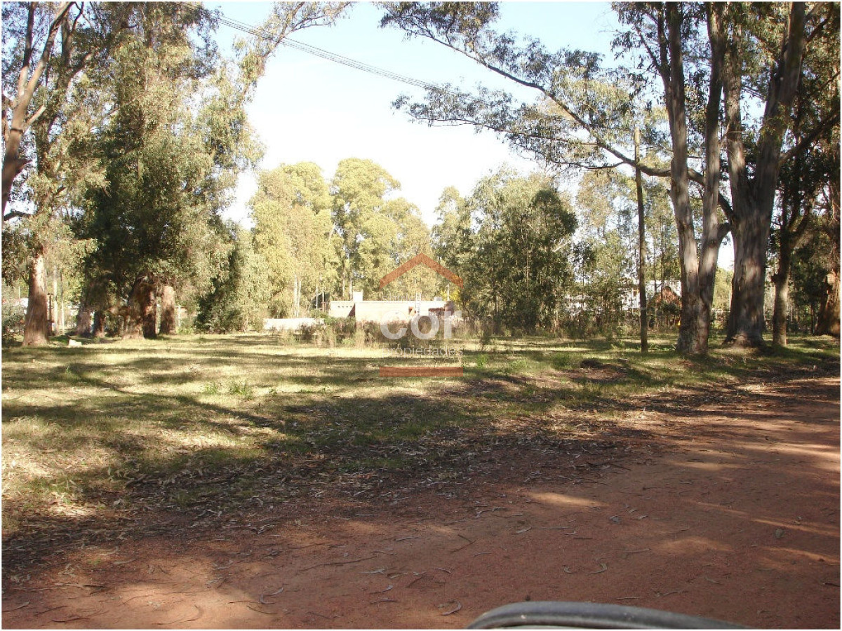 El Tesoro - GoPunta - Portal Inmobiliario de Punta del Este - Maldonado