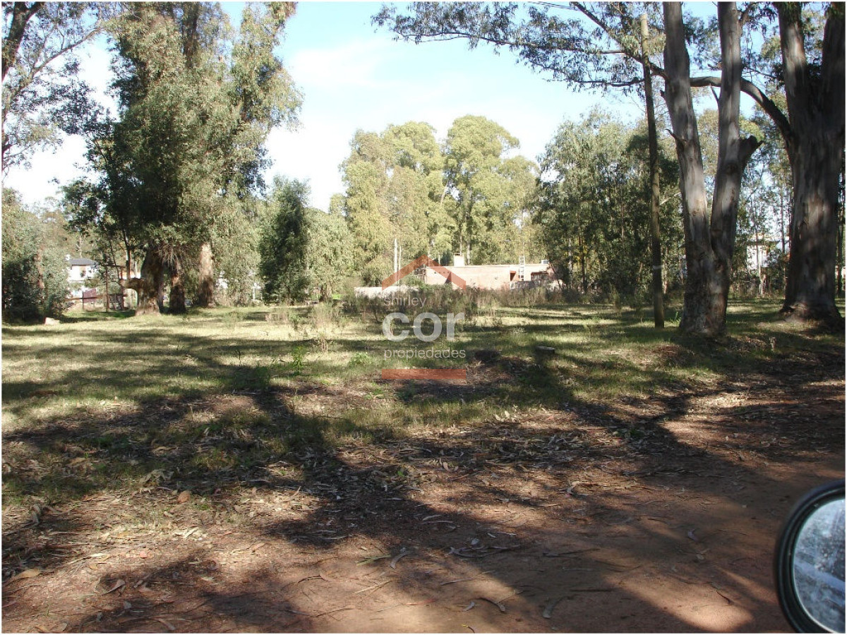 El Tesoro - GoPunta - Portal Inmobiliario de Punta del Este - Maldonado
