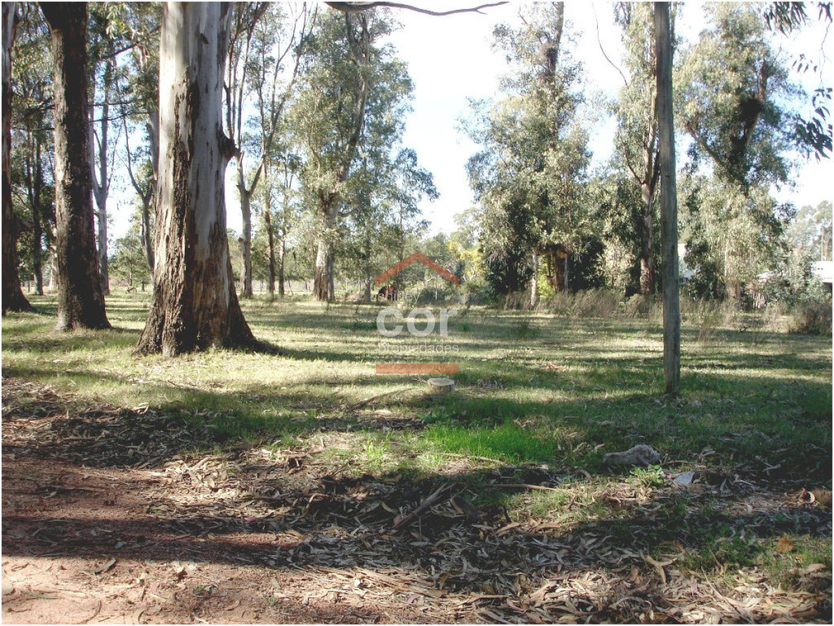 El Tesoro - GoPunta - Portal Inmobiliario de Punta del Este - Maldonado