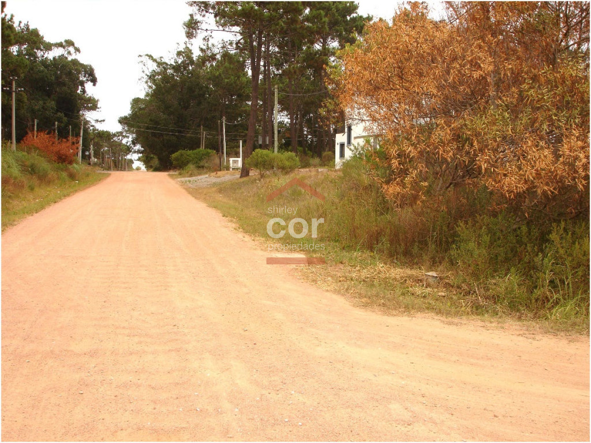 La Barra - GoPunta - Portal Inmobiliario de Punta del Este - Maldonado