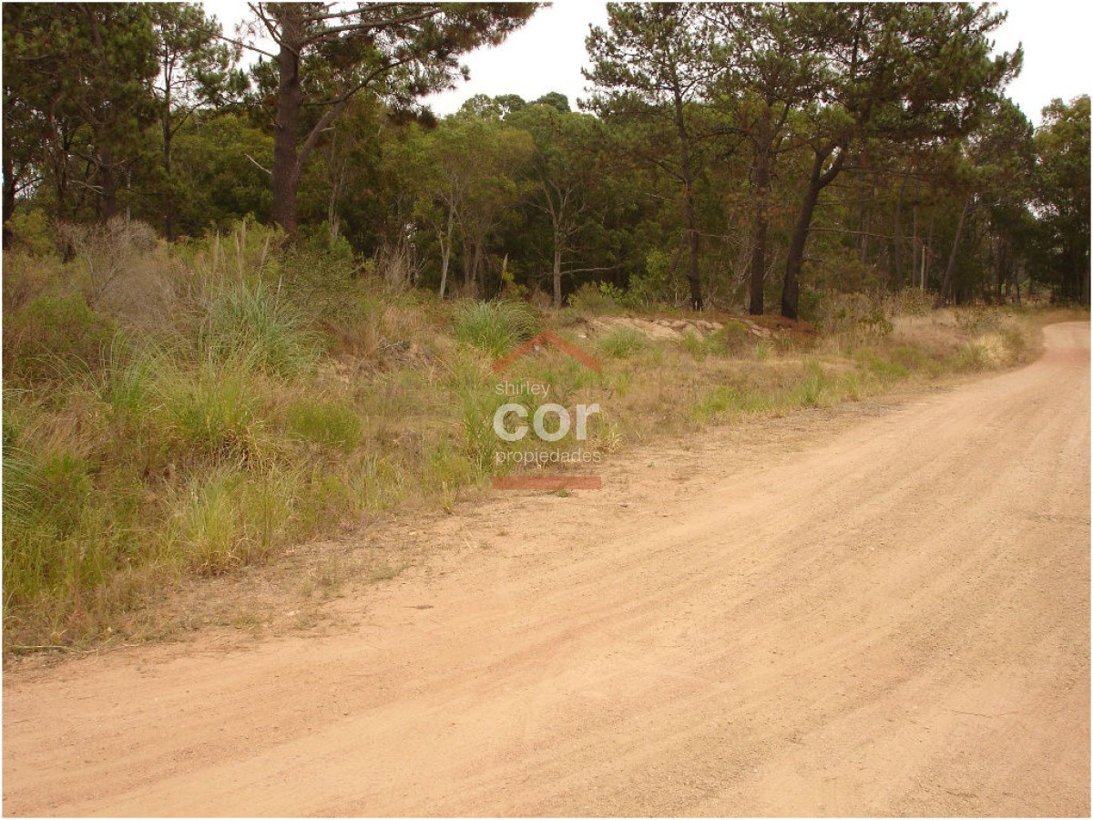 La Barra - GoPunta - Portal Inmobiliario de Punta del Este - Maldonado