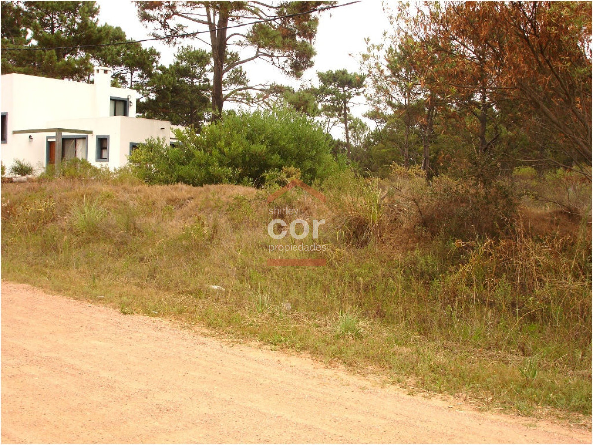 La Barra - GoPunta - Portal Inmobiliario de Punta del Este - Maldonado